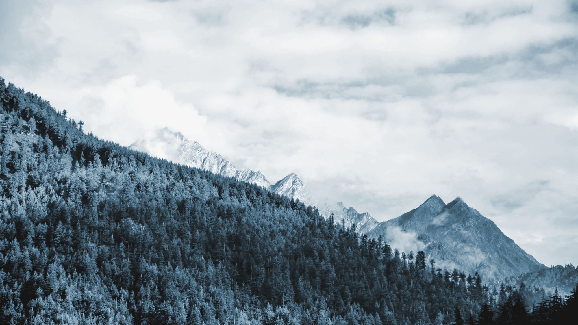 A forested mountain ridge under cloud